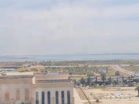 99.jpg