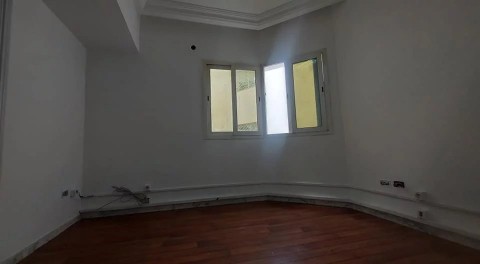 96.jpg