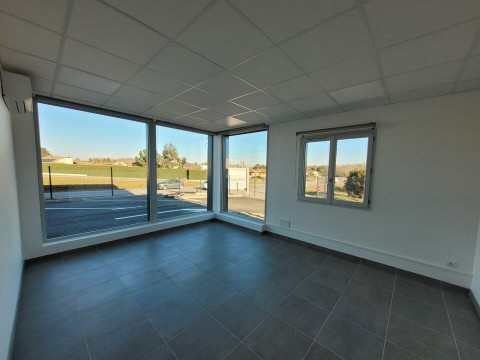 Vente Local commercial , 115 m2 à Chanas (38150)