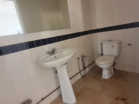 61.jpg