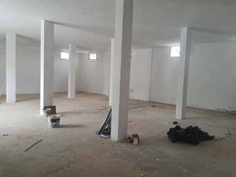 56.jpg