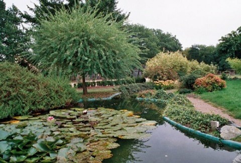 79.jpg