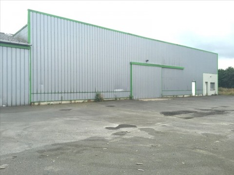 56.jpg