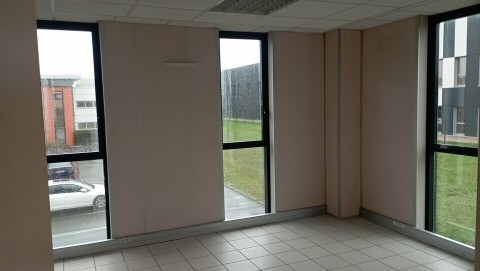 97.jpg