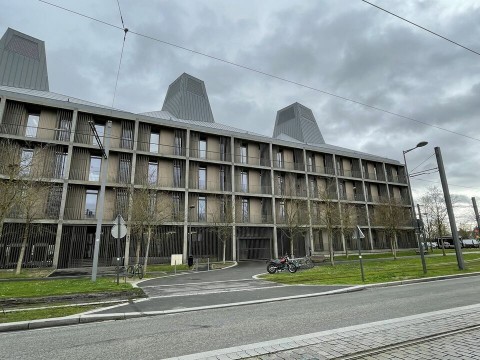 100.jpg