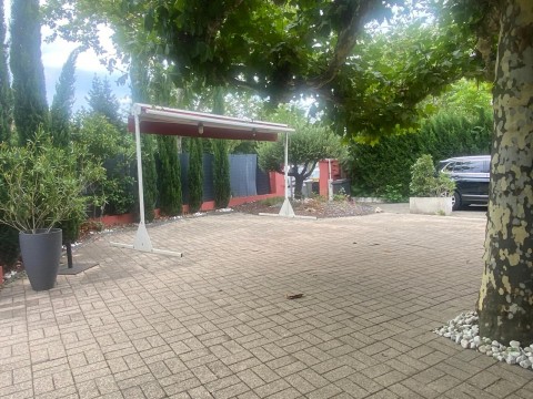 169.jpg