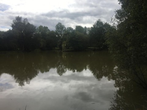 78.jpg
