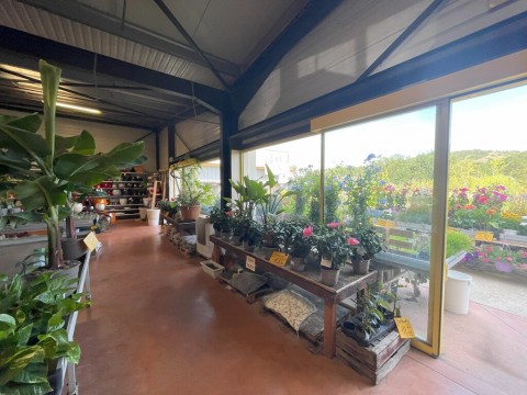 Vente Jardinerie, 6460 pi2 à Carcassonne (11000) en France