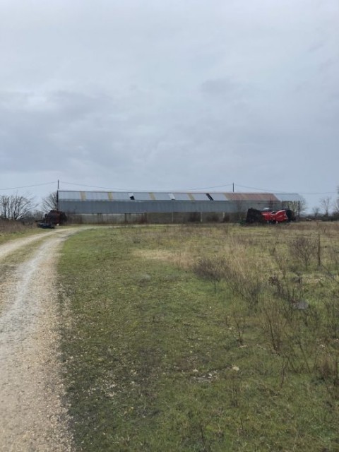 63.jpg