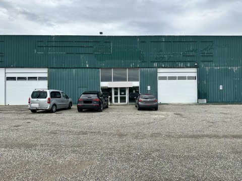 Vente Local d'activité / Entrepôt, 765 m2 dans l' Ain (01)