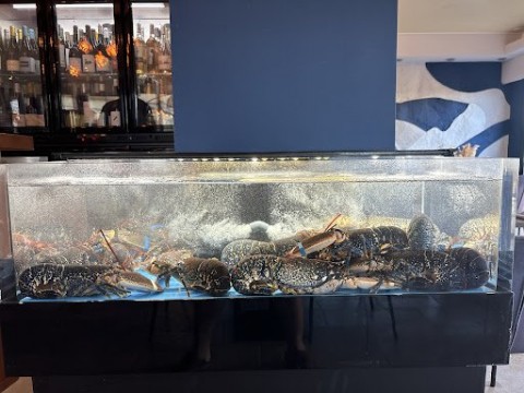 Vente Restaurant 40 couverts avec terrasse à Valras-Plage (34350)