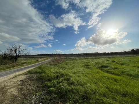 Vente Terrain, 1047 m2 à Magalas (34480)