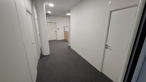 85.jpg