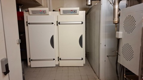 61.jpg