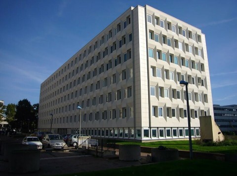 46.jpg