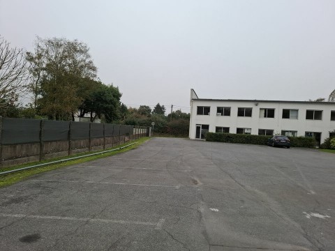 66.jpg