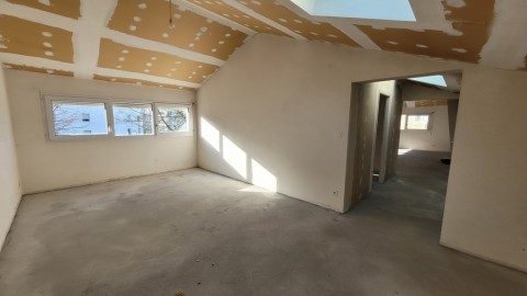 77.jpg