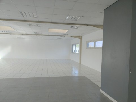 65.jpg