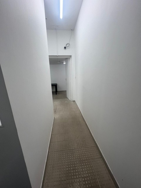 47.jpg