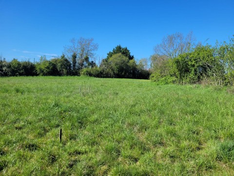Vente Terrain à Castelnau-Montratier (46170) en France