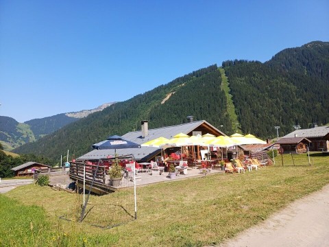17.jpg