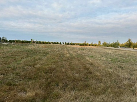 Vente Terrain à Saint-Lambert-du-Lattay (49750) en France