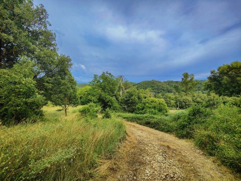 Vente Terrain à Riez (04500) en France