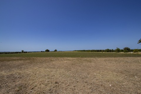 Vente Terrain à Puimoisson (04410)