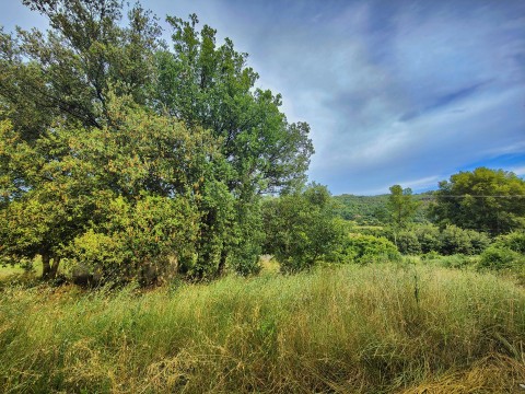 Vente Terrain à Riez (04500)
