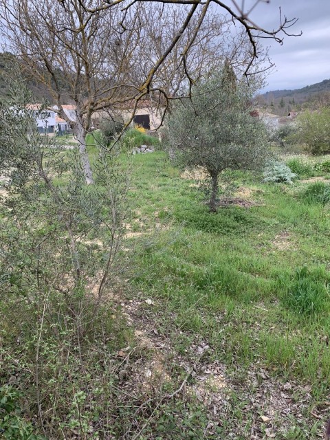 Vente Terrain à Riez (04500)