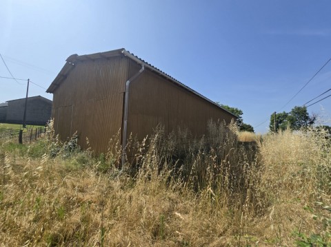 163.jpg