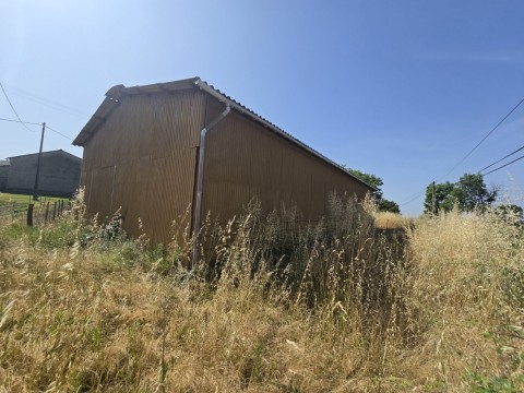 74.jpg