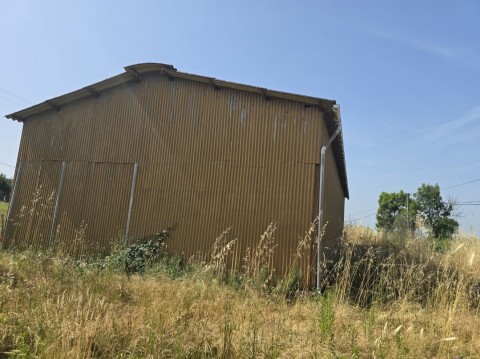 96.jpg