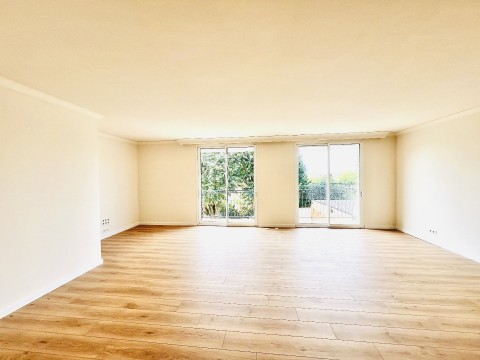 65.jpg