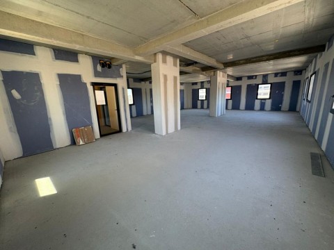 53.jpg