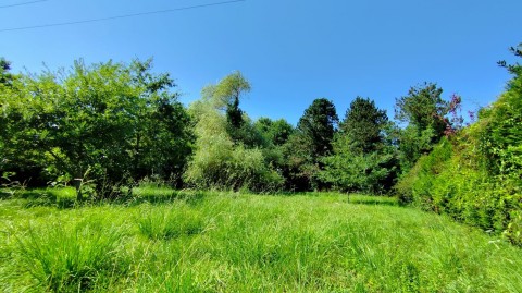 Vente Terrain à Saint-Vincent-de-Tyrosse (40230) en France
