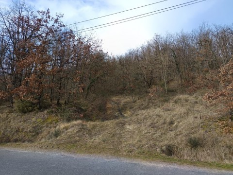 Vente Terrain à Graulhet (81300) en France