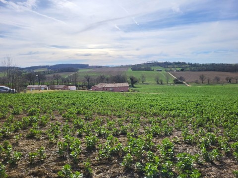 Vente Terrain à Monfort (32120) en France