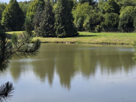 176.jpg