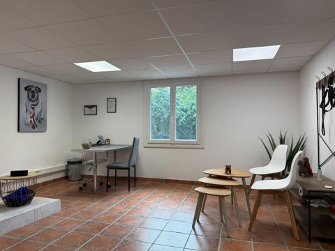 Vente Bureaux / Locaux professionnels, 240 pi2 à Béziers (34500) en France