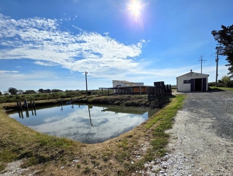 Vente Château, 75 m2 en Charente Maritime (17)