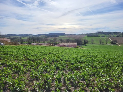 Vente Terrain à Monfort (32120)