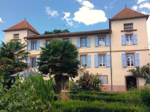 Vente Château, 330 m2 à Lisle-sur-Tarn (81310) en France