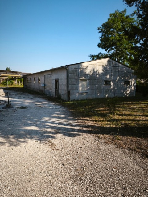 100.jpg