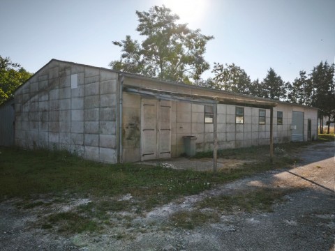 49.jpg