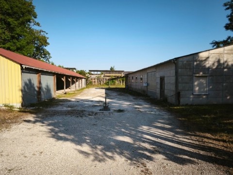 65.jpg
