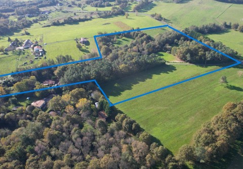 Vente Terrain, 45 m2 à Mirambeau (17150)