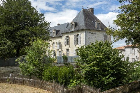 Vente Château, 360 m2 à Saintes (17100) en France