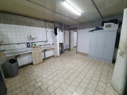 100.jpg