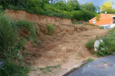 169.jpg